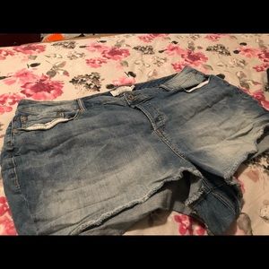 Torrid Shorty Shorts